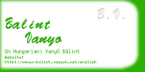 balint vanyo business card